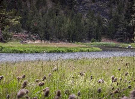 Lone Pine Campground