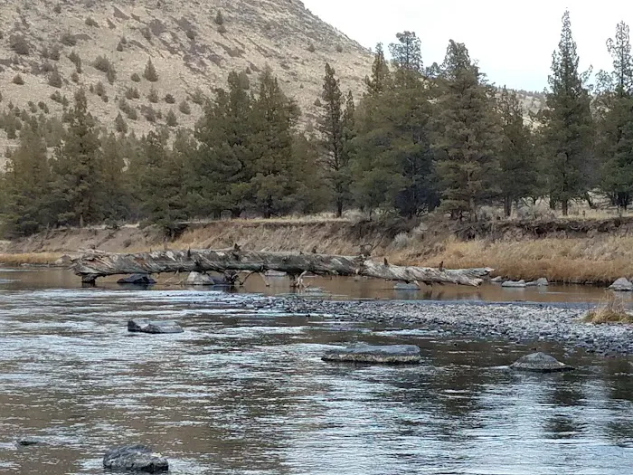 Lone Pine Campground Picture 2