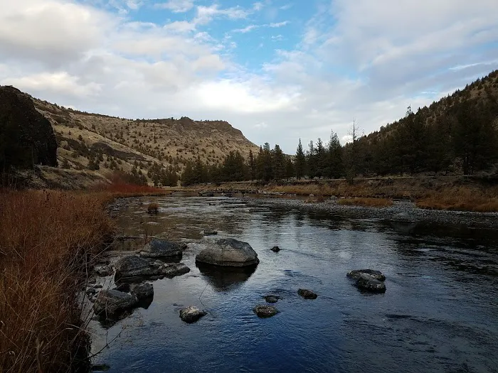 Lone Pine Campground Picture 6