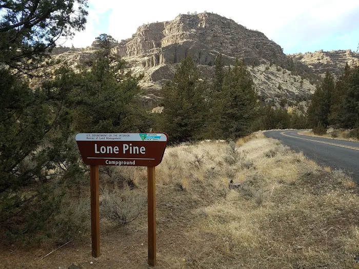 Lone Pine Campground Picture 8