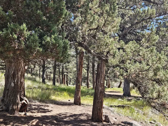 Poison Butte Campground Picture 6