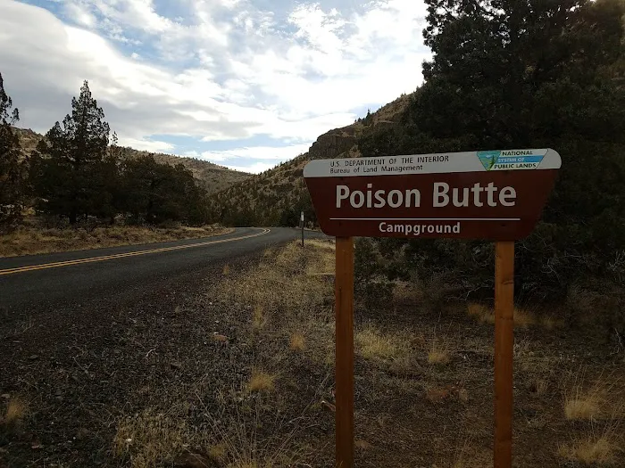 Poison Butte Campground Picture 2