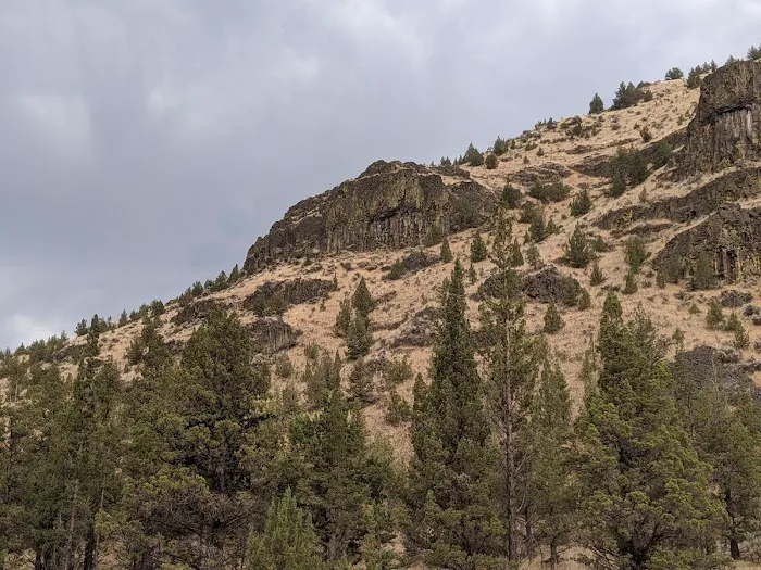 Poison Butte Campground Picture 1