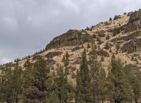Poison Butte Campground