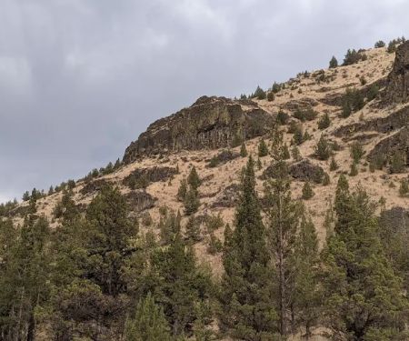 Poison Butte Campground