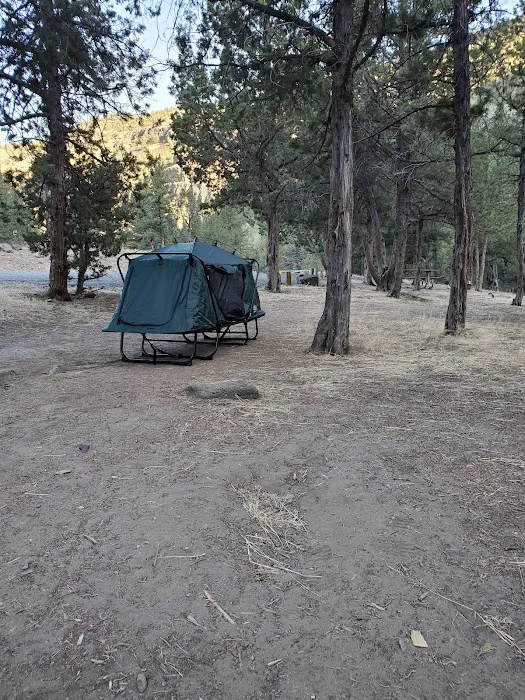 Big Bend Campground Picture 6