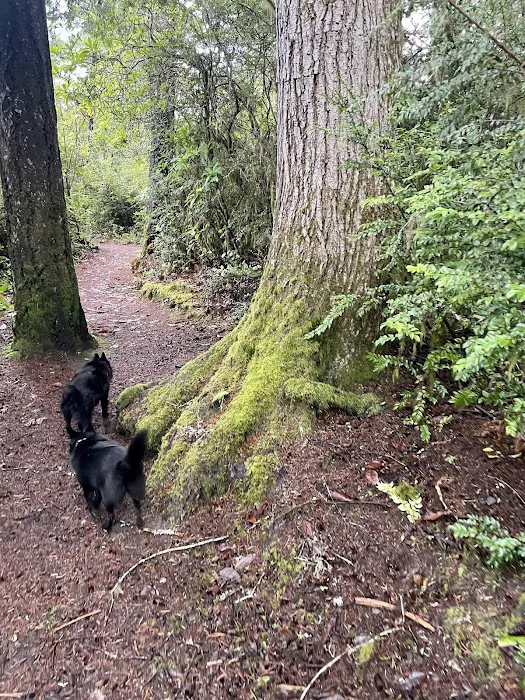 Eel Creek Campground Picture 1