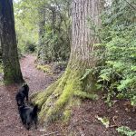 Eel Creek Campground