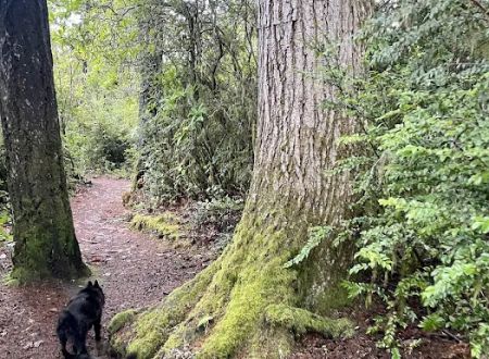 Eel Creek Campground