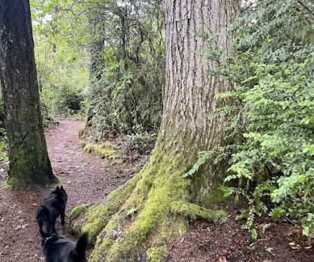 Eel Creek Campground