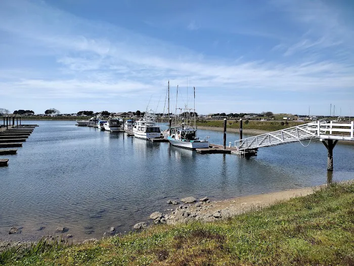 Salmon Harbor Marina Picture 2