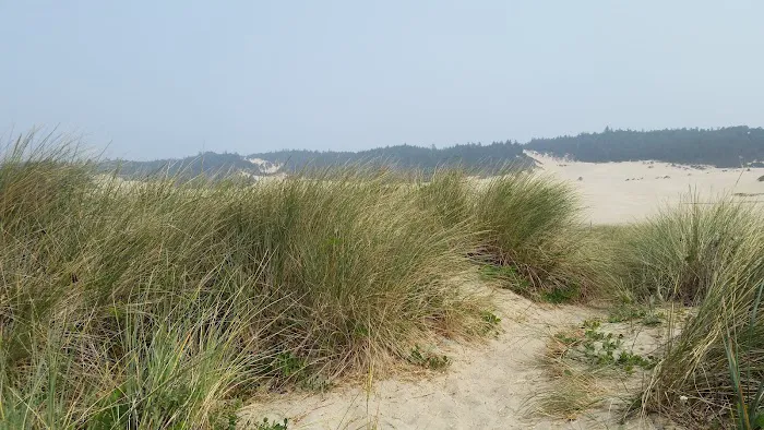 Douglas County Parks Department Picture 3