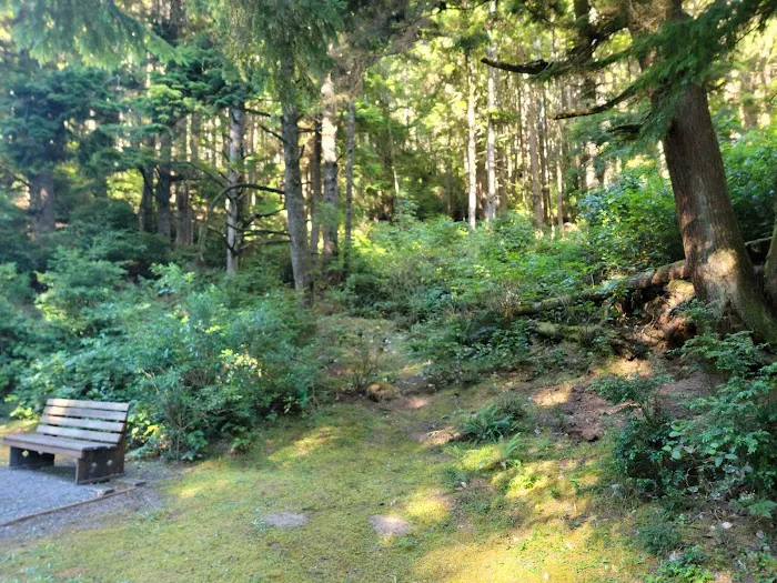 Umpqua Lighthouse State Park Campground Picture 9