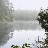 Umpqua Lighthouse State Park Campground ico