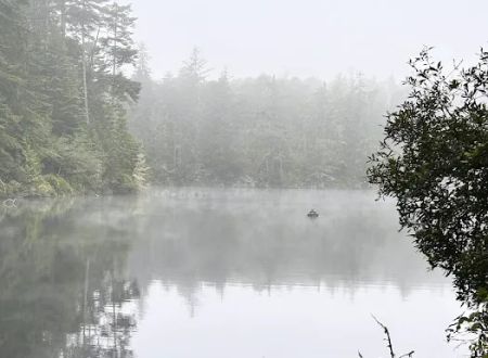 Umpqua Lighthouse State Park Campground