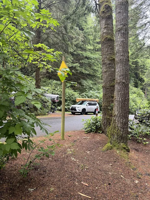 Umpqua Lighthouse State Park Campground Picture 10