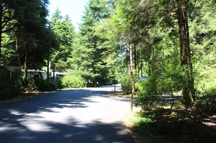 Umpqua Lighthouse State Park Campground Picture 5