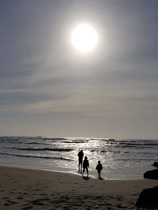 Half Moon Bay Campground Picture 2