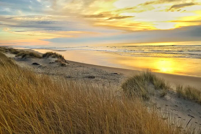 Umpqua Sand Camping Picture 7