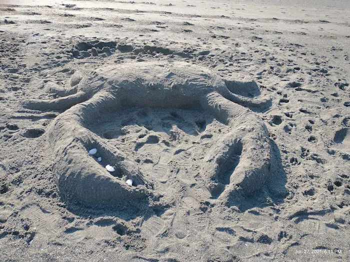 Umpqua Sand Camping Picture 10