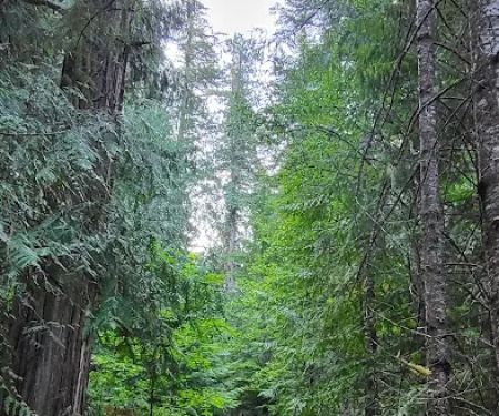 Indigo Springs Campground