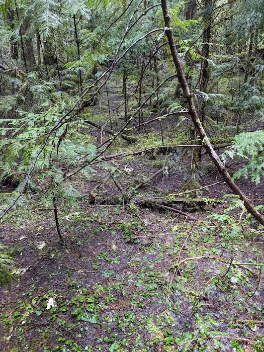 Indigo Springs Campground Picture 10