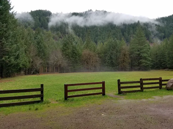 Steamboat Ball Field Group Campground Picture 2
