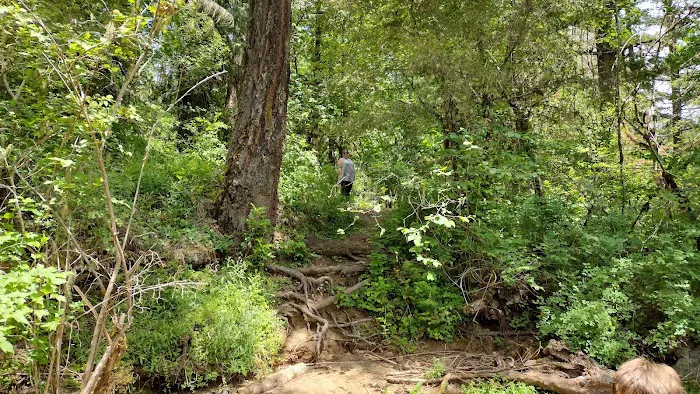 Wolf Creek Campground Picture 6