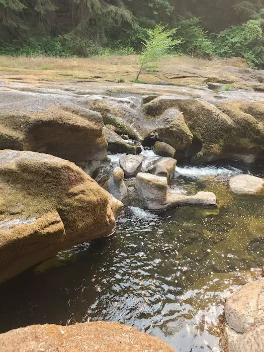 Wolf Creek Campground Picture 4