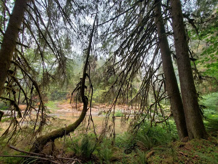 Wolf Creek Campground Picture 2
