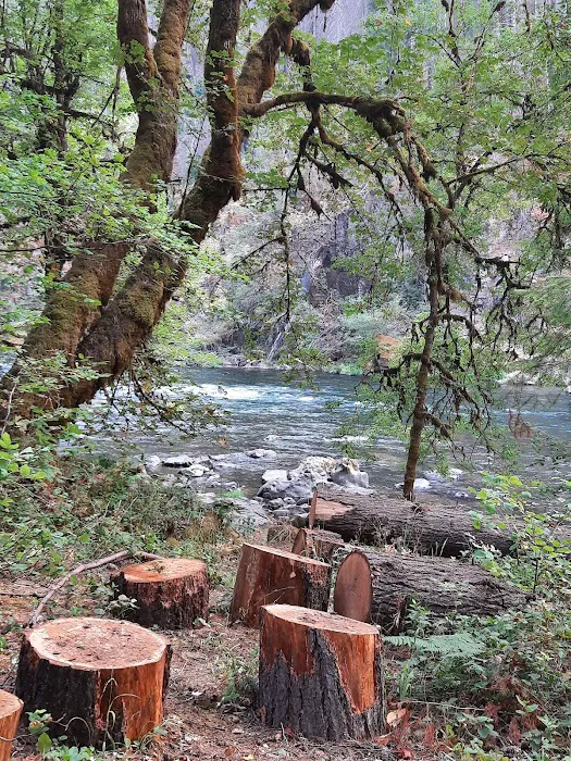 Island Campground Picture 2