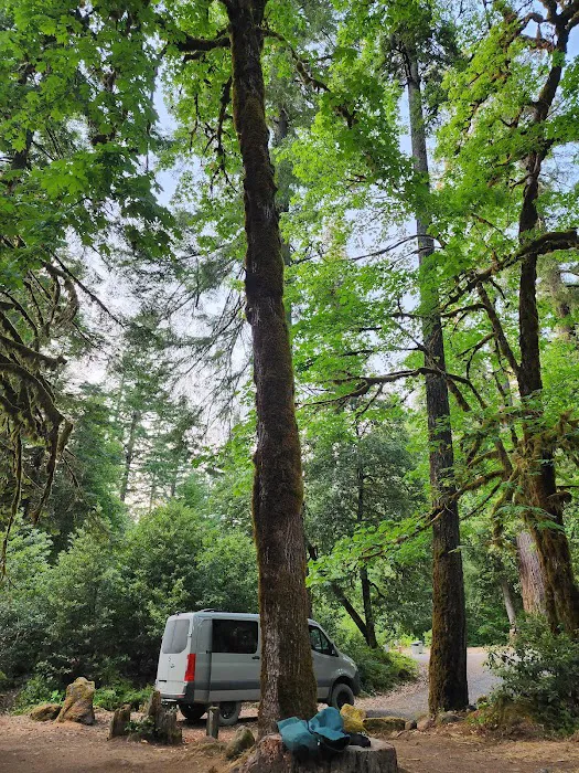 Island Campground Picture 6