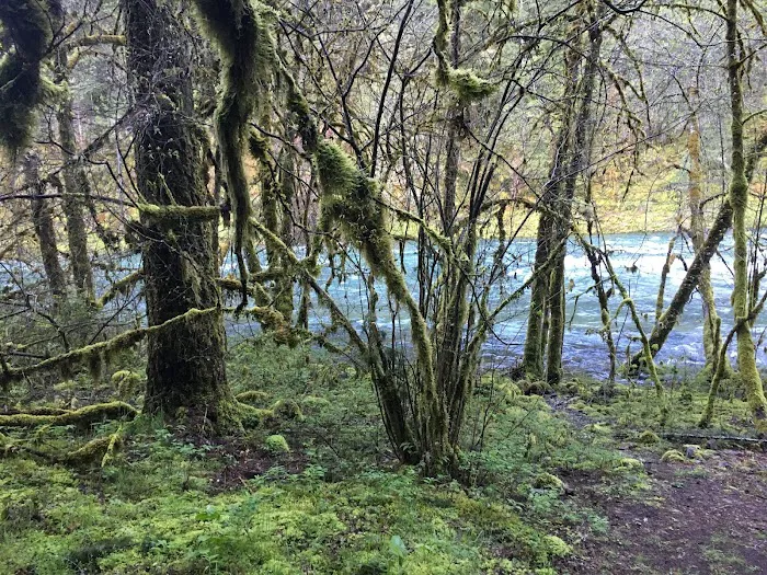 Island Campground Picture 9