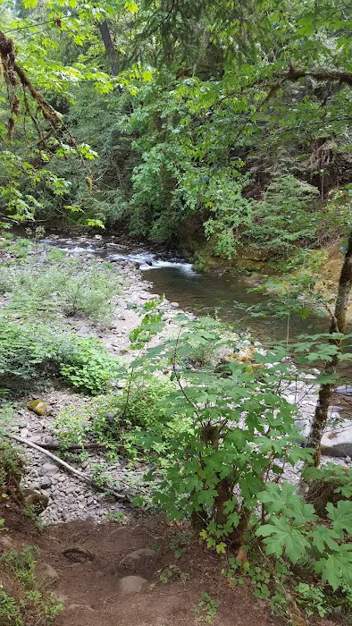 Coolwater Campground Picture 4