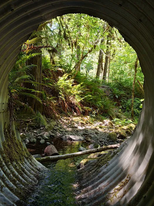 Coolwater Campground Picture 8