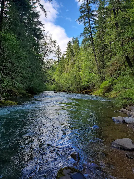 Coolwater Campground Picture 1