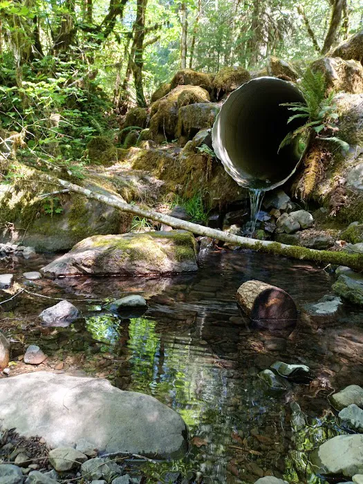 Coolwater Campground Picture 10