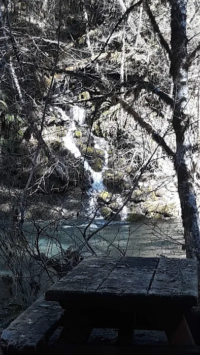 White Creek Campground Picture 5
