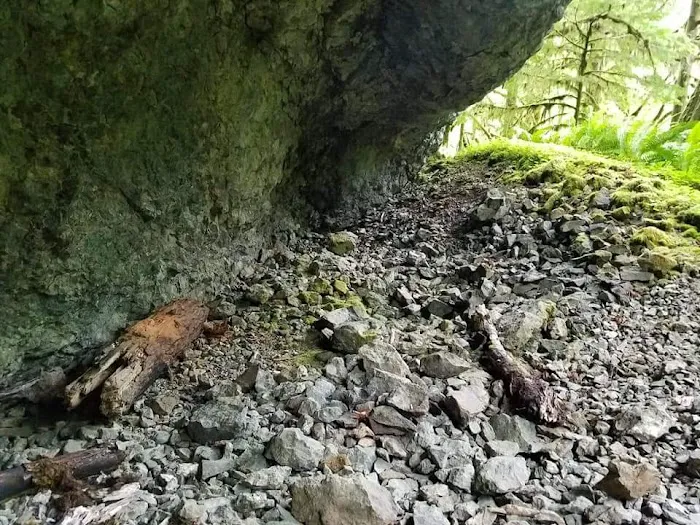 White Creek Campground Picture 9
