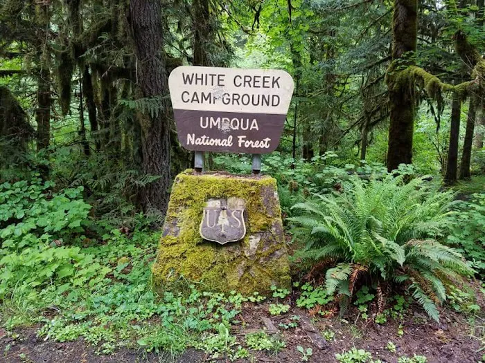 White Creek Campground Picture 8