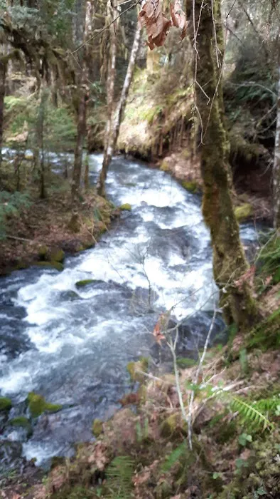 White Creek Campground Picture 3