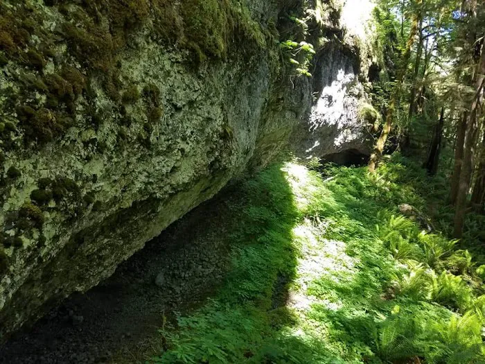 White Creek Campground Picture 6