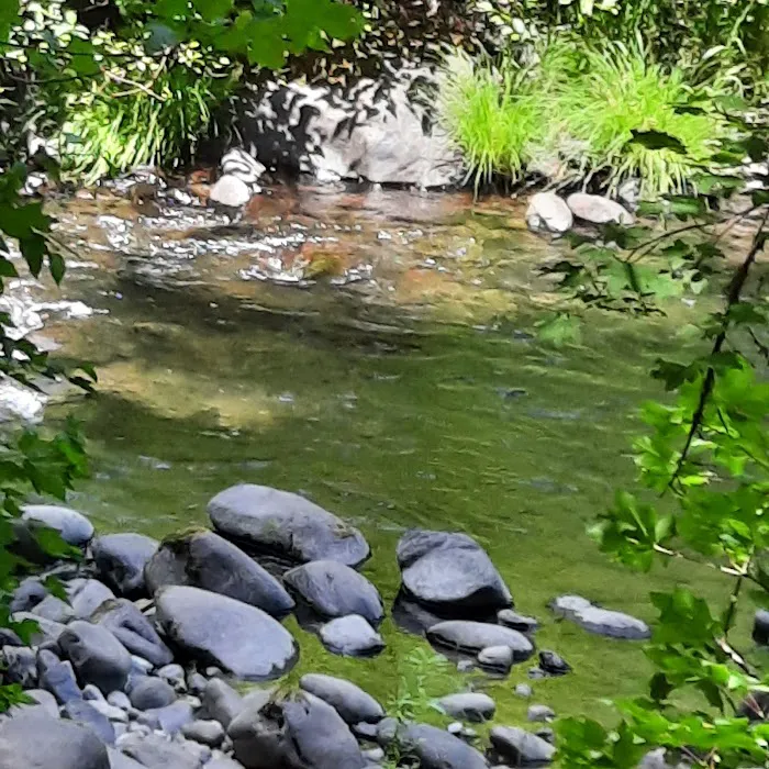 White Creek Campground Picture 1