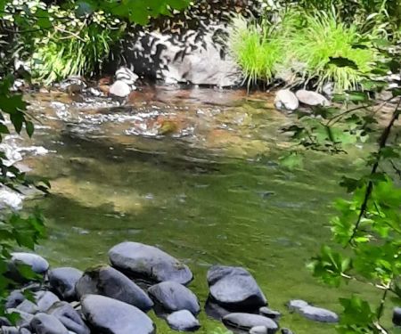 White Creek Campground