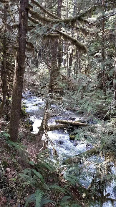 White Creek Campground Picture 4