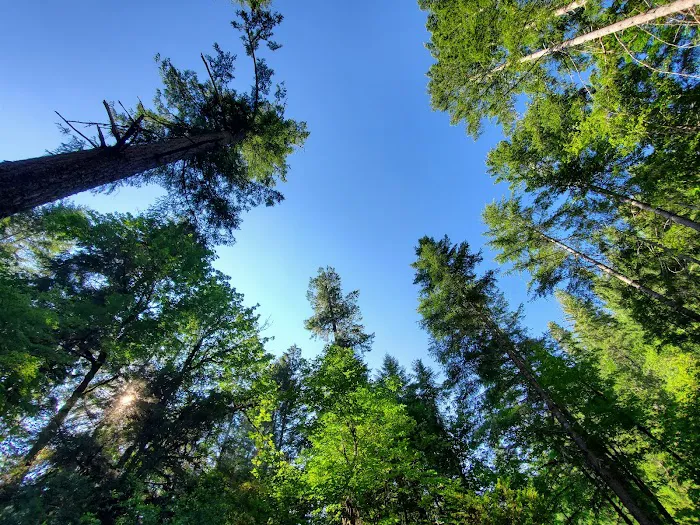 Apple Creek Campground Picture 2