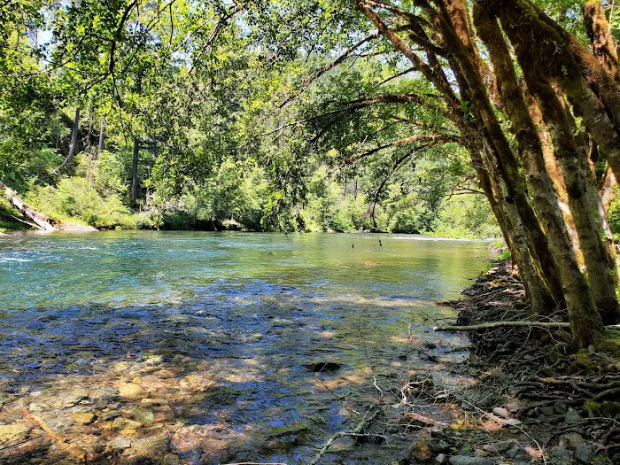 Apple Creek Campground Picture 5