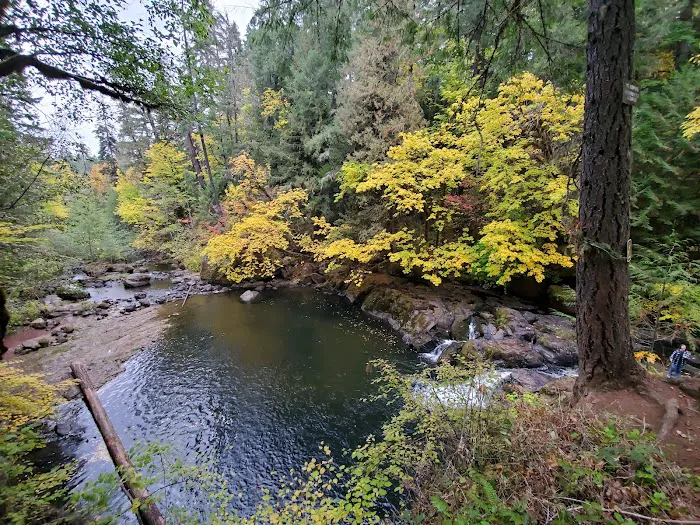 Cavitt Creek Falls Recreation Site Picture 7