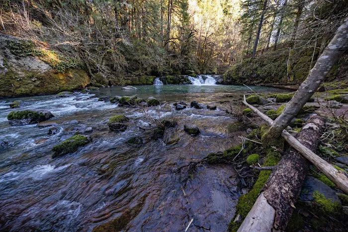 Cavitt Creek Falls Recreation Site Picture 6
