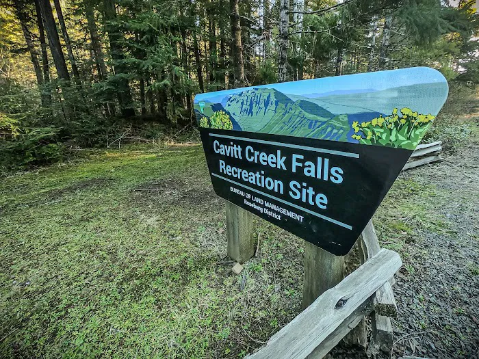 Cavitt Creek Falls Recreation Site Picture 2